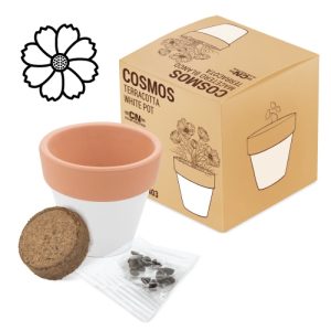 MACETA TERRACOTA "WHITE" COSMO