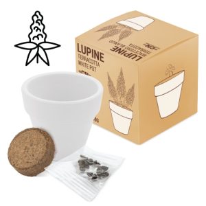 MACETA TERRACOTA "WHITE" LUPINE