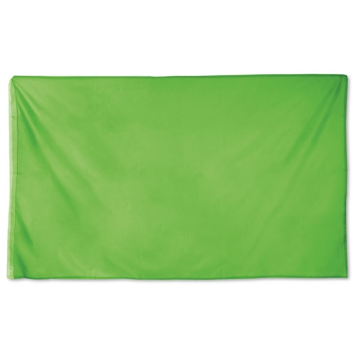 BANDERA FIESTA "DRAC" PISTACHO