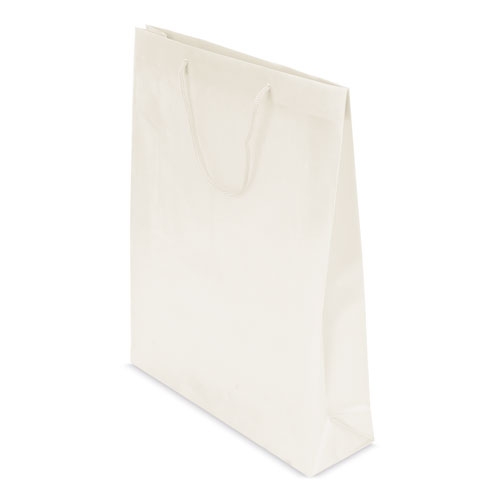 BOLSA REGALO PVC "PRESS" HIELO