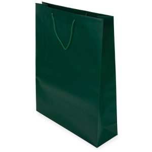 BOLSA REGALO PVC "PRESTO" VERDE