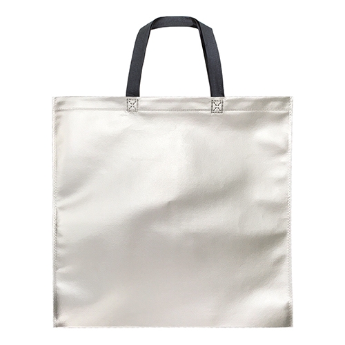 BOLSA "BOUTIQUE" PLATA